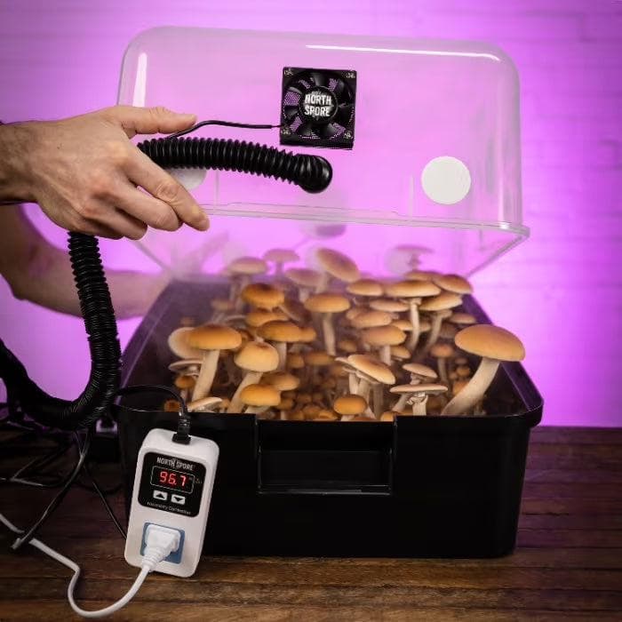 Grow Chambers Automated 'Boomr Bin' Mushroom Monotub Kit