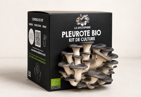 Kit Pleurote Prêt à Pousser