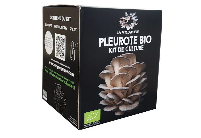 kit de pleurotes prêts à pousser