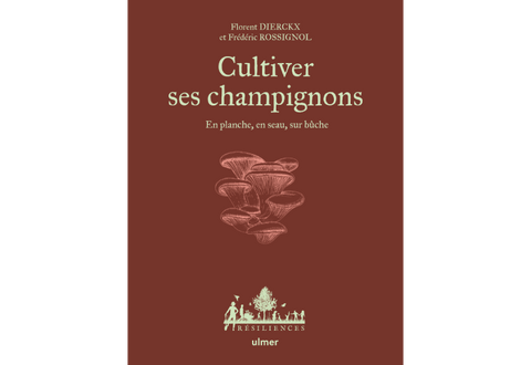 Cultiver ses champignons — En planche, en seau, sur bûche