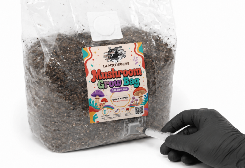 All-in-One Mushroom Grow Bag with Injection Port
