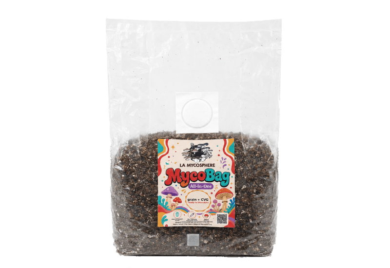 MycoBag All-in-One – sac prêt à inoculer grain + CVG