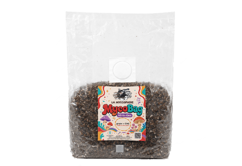 MycoBag All-in-One – Ready-to-inoculate bag with grain + CVG