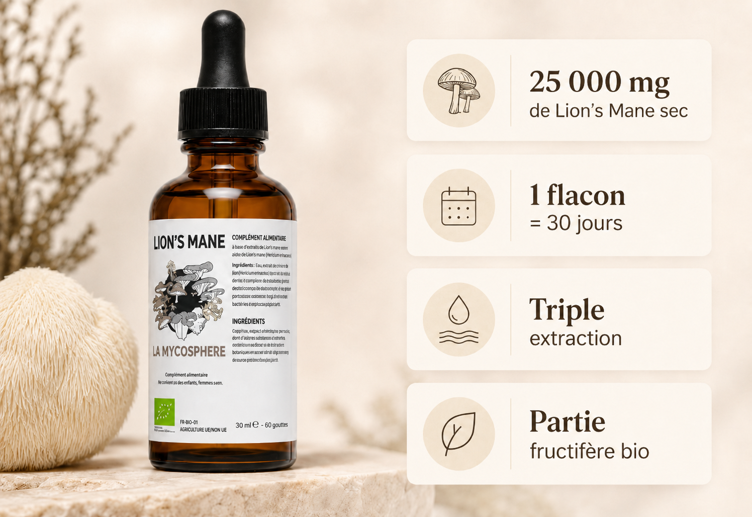extrait de lion's mane bénéfice mycosphere