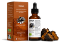 Packshot Flacon d’extrait liquide de chaga bio La Mycosphère