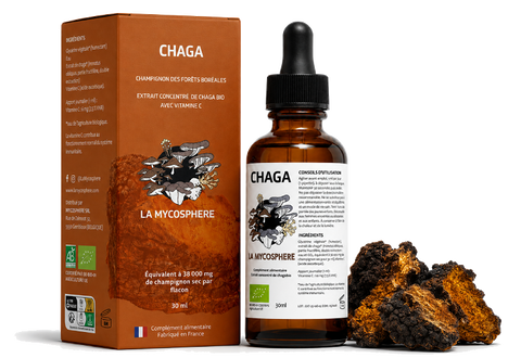Chaga Bio – Extrait Liquide