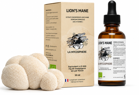 Lion’s Mane Bio – Extrait Liquide