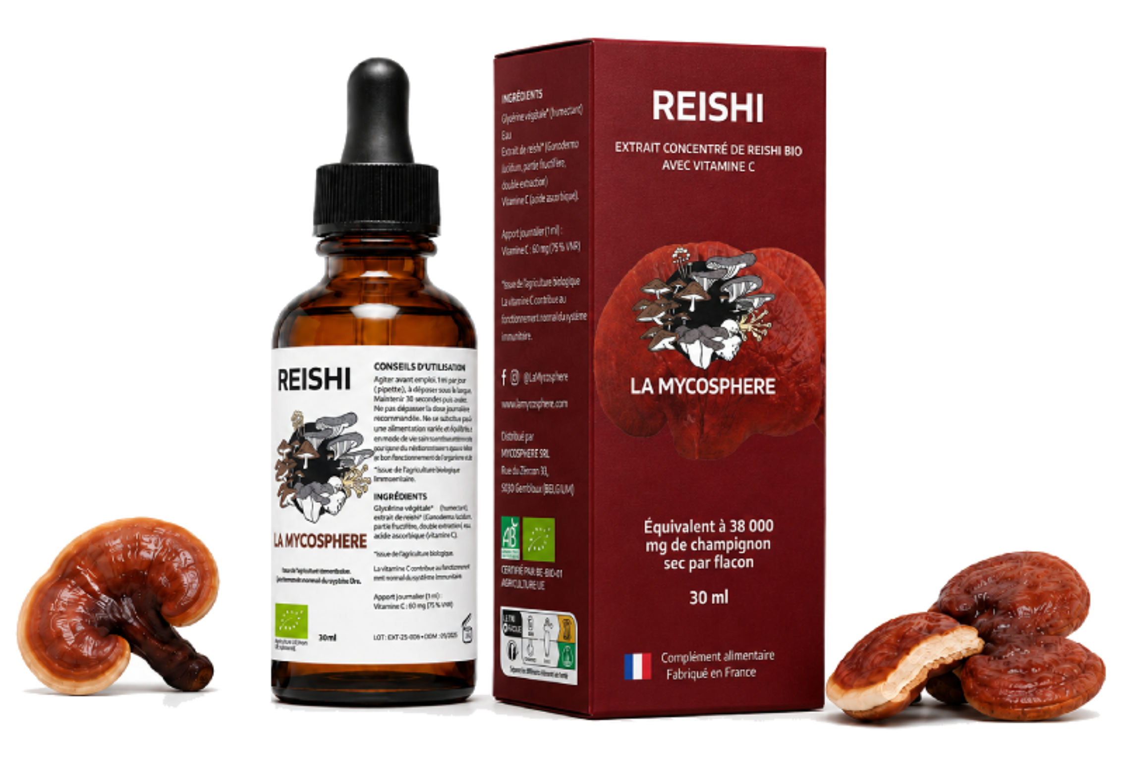 packshot reishi