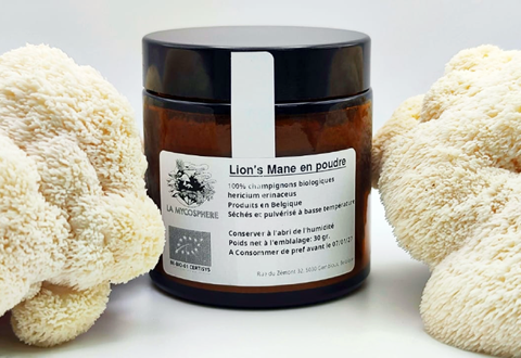 Lion's Mane Séchés Bio