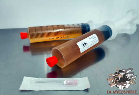 Seringues Culture Liquide G1