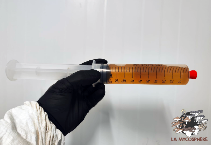 Liquid Mycelium Starter Culture, 10 ml Syringes - High-Quality Genetics ...