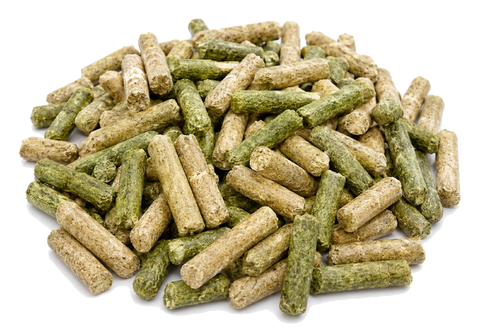 Optimal Organic Substrate - Pellets for the cultivation of wood-growing mushrooms