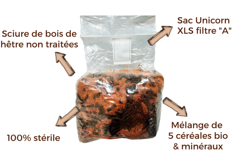 Substrats Stérilisés BIO