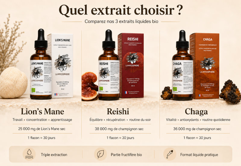 Pack 3 Extraits