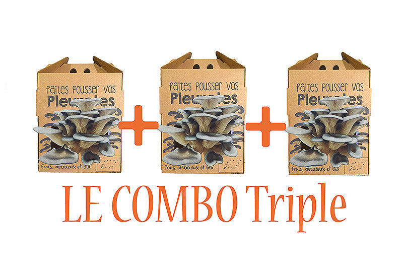 Pack Combo Triple Kit de Culture de Champignons Pleurotes Bio