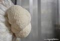 Lion's Mane, Herisson, Yamabu, and Shiitake