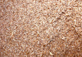Son de blé bio en vrac